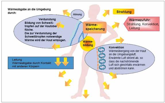 Druck- und Lokalversion