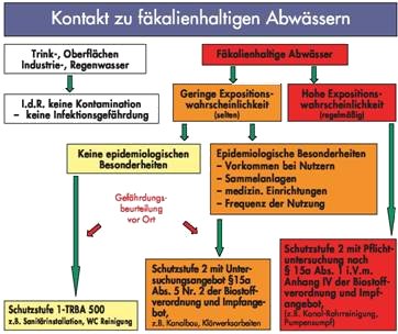 Druck- und Lokalversion