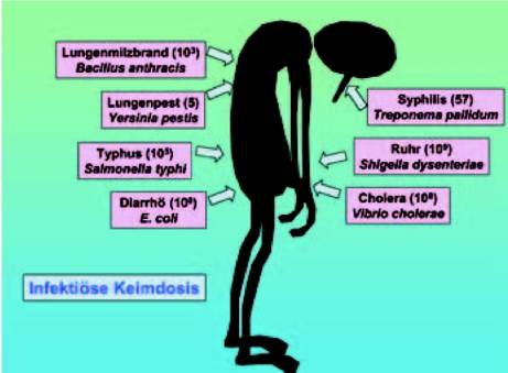 Bild 1-4: Infektiöse Keimdosen für unterschiedliche Krankheitserreger