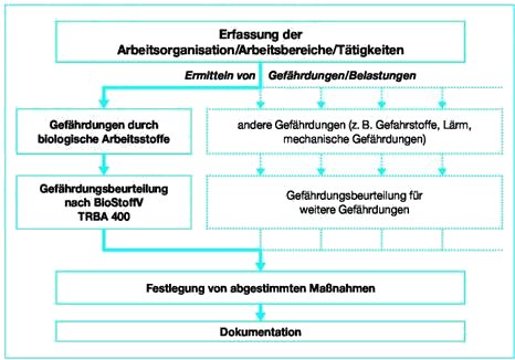 Bild 3-1: Biologische Arbeitsstoffe als Teil der Beurteilung der Arbeitsbedingungen nach § 5 ArbSchG