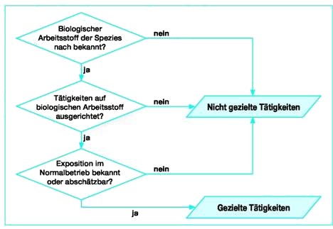 Bild 3-4: Entscheidung "Gezielte oder nicht gezielte Tätigkeit"